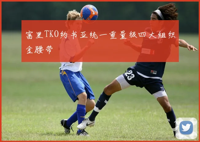 富里TKO约书亚统一重量级四大组织金腰带